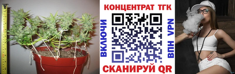 где найти   Канаш  shop формула  ТГК Wax 